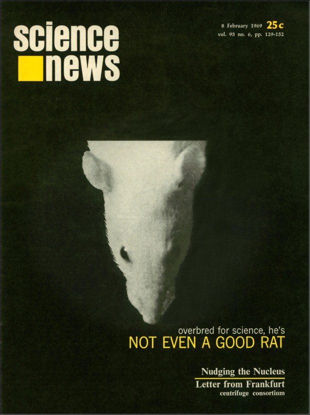 Science News cover from February 8, 1969
