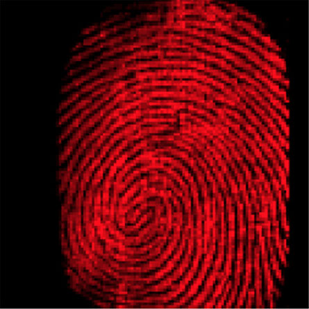 Traces of cocaine delineate a fingerprint left on glass. By bouncing water droplets off a surface, chemists can image fingerprints and sniff out thousands of different chemicals simultaneously.