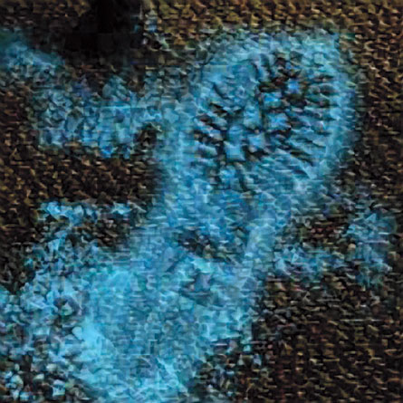 Household “oxy” cleaners remove blood almost too well, which could prevent forensic investigators from finding the clues that usually show up in routine tests, such as the luminol test above