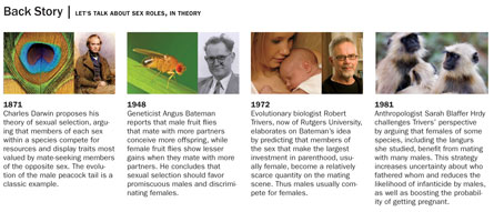 Backstory: Let's talk about sex roles, in theory - Click the table to see an enlarged version.