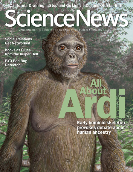 All about Ardi: Early hominid skeleton provokes debate about human ancestry