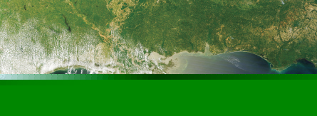 Aerial shot of the gulf shore.