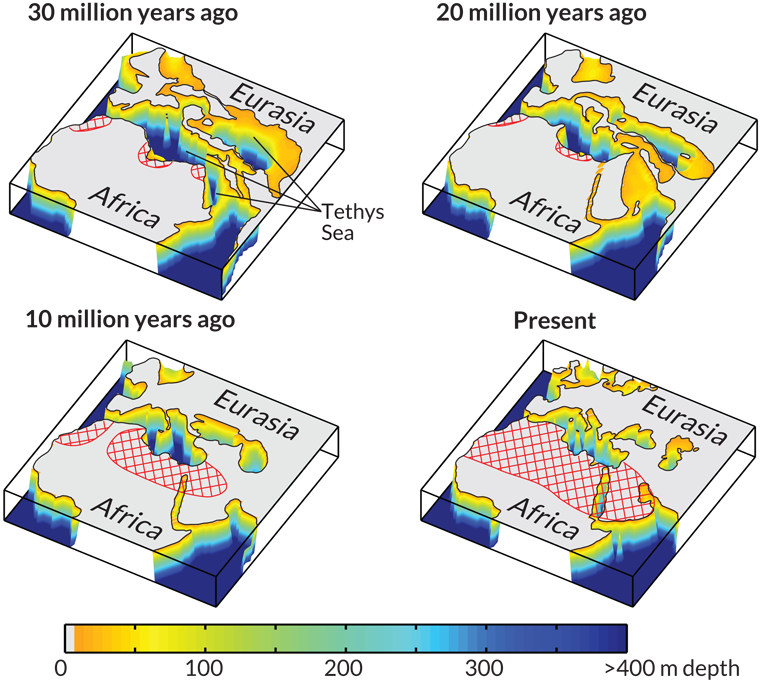 maps of Tethys Sea over time