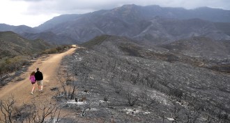 Santa Monica Mountains