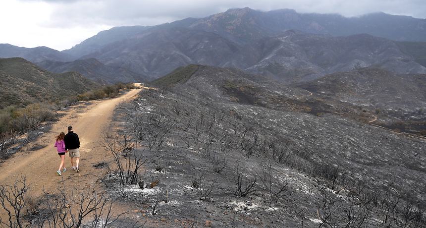 Santa Monica Mountains