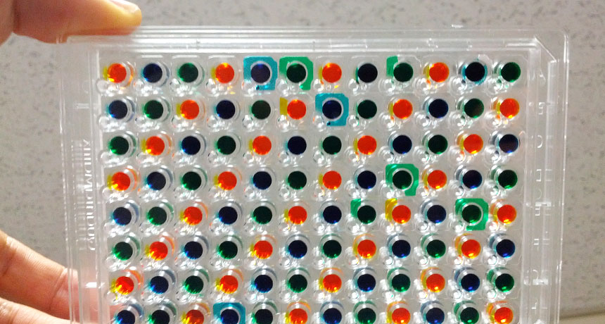 plastic chip with dozens of little wells