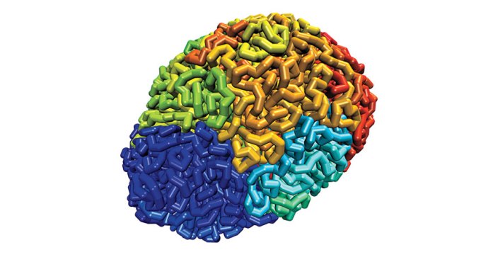 stretch of 5 million DNA bases