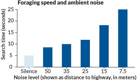 Foraging speed and ambient noise (graph)