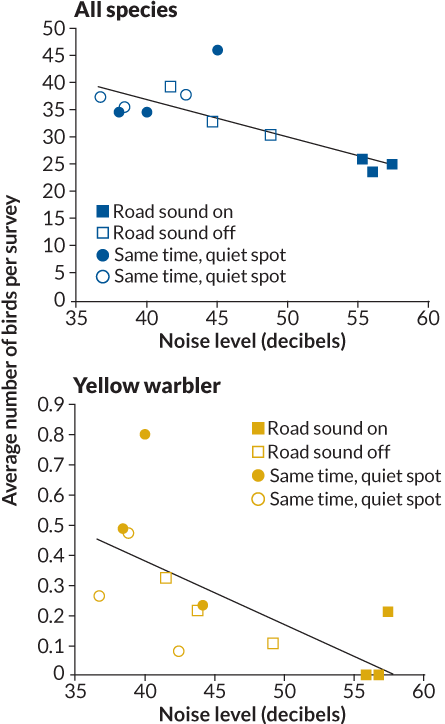 graphs of effect of noise on birds
