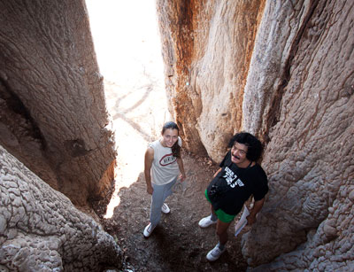 inside of baobab tree