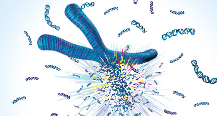 shattered chromosome