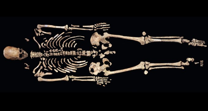 Kennewick Man Skeleton