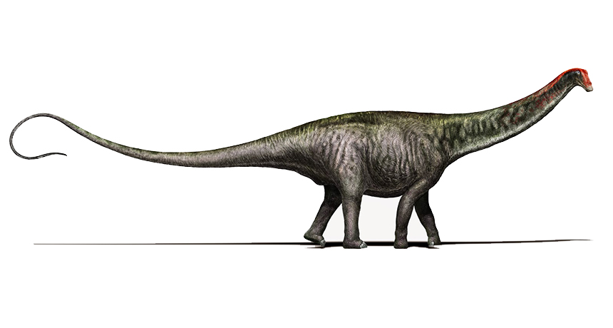 Brontosaurus