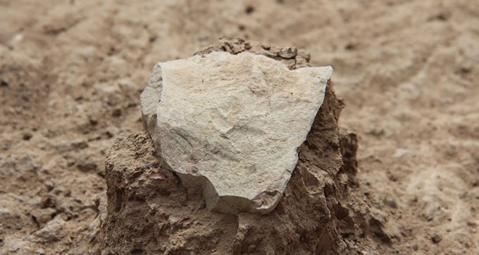 stone tool