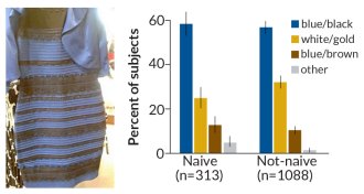 The dress, and how people interpreted the colors of it