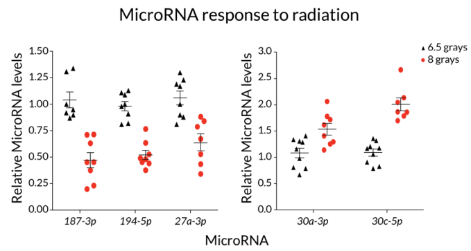 microRNA and radiation