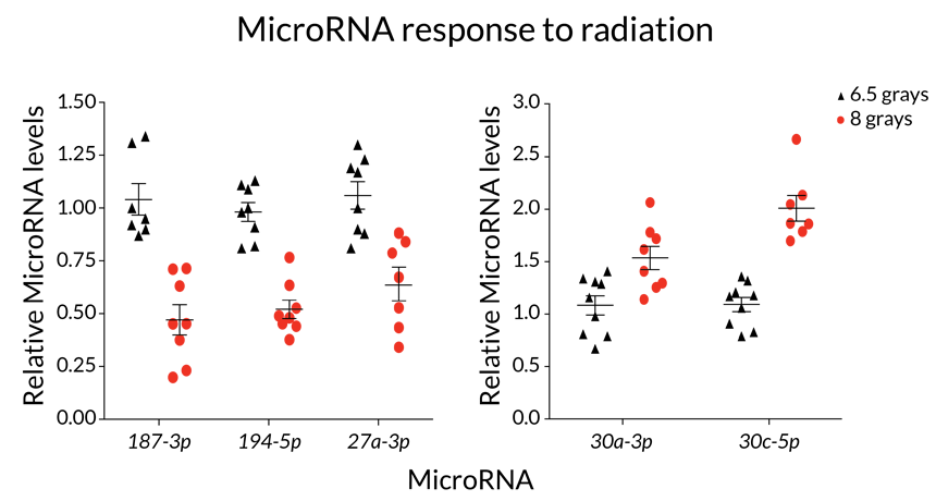 microRNA and radiation