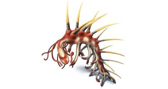 Hallucigenia sparsa, illustrated