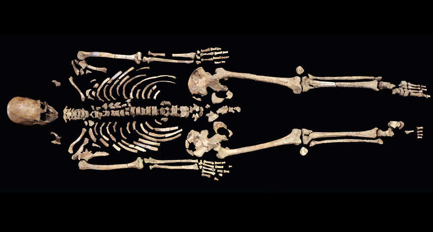Kennewick Man’s skeleton