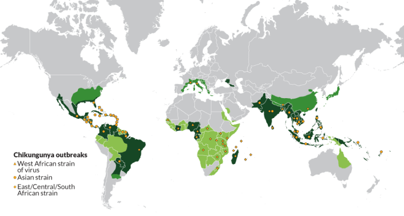 Map of chikungunya outbreaks and mosquito ranges