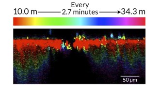 imaging technique tracks heavy water