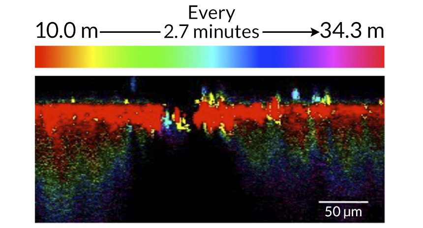 imaging technique tracks heavy water