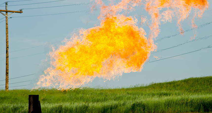 natural gas burn, radiating heat