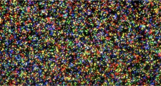 describing genomical