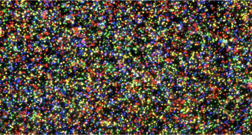 describing genomical