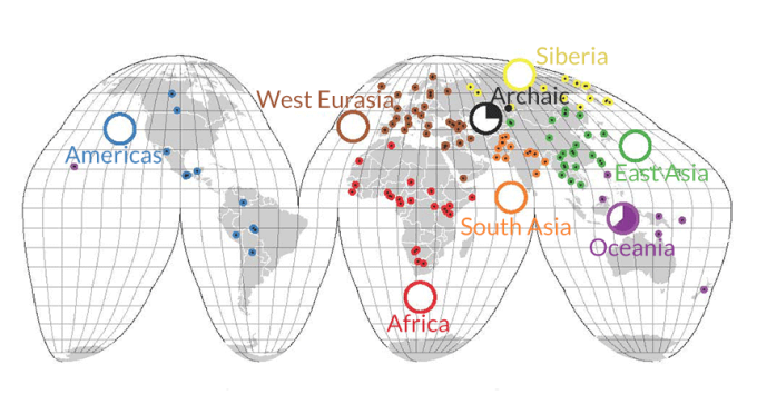 Map of human genetic diversity