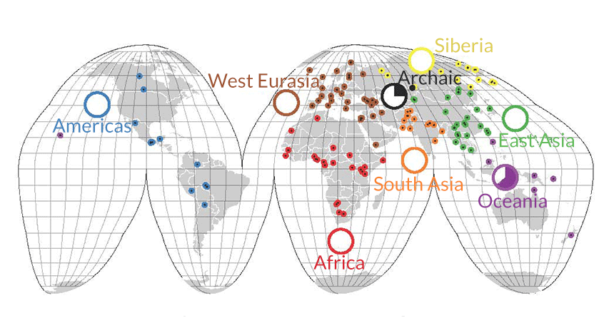 Map of human genetic diversity