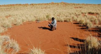 fairy circle in Namib Desert