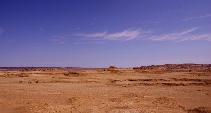 arid drylands