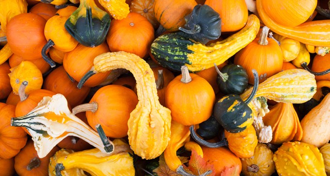gourds