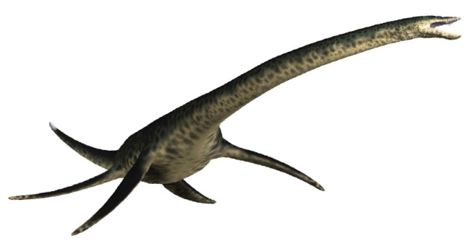 plesiosaur