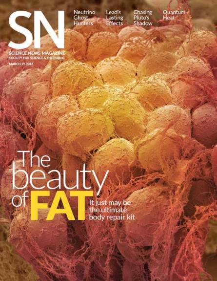 cover of 3/19/16 issue of Science News