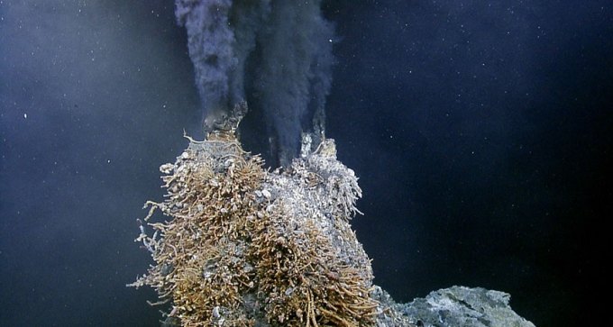 hydrothermal vents