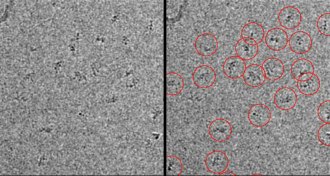 proteins under a microscope