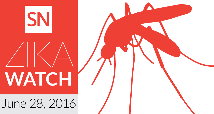 zika watch 6/28