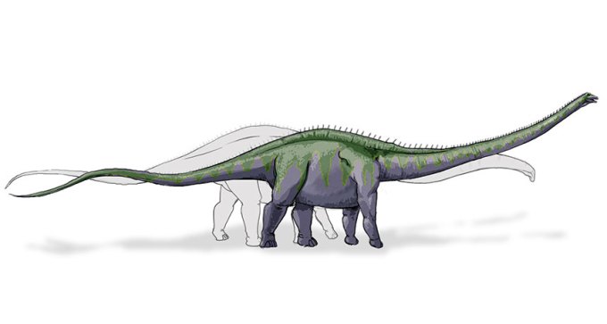 dinosaur illustration
