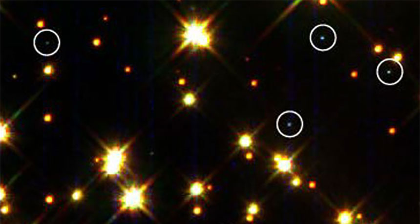 White dwarf stars