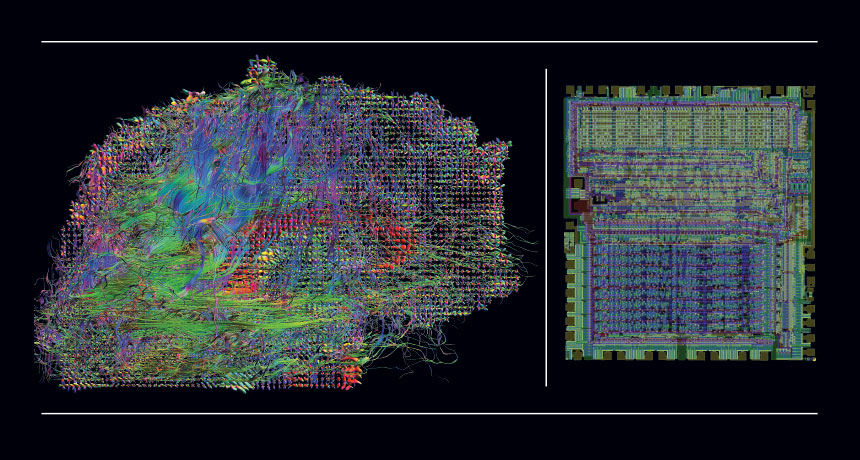brain and microprocessor