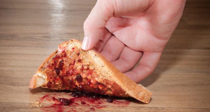 peanut butter and jelly sandwich face down on the floor