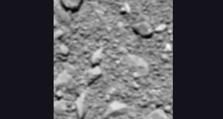 comet 67P from 51 meters