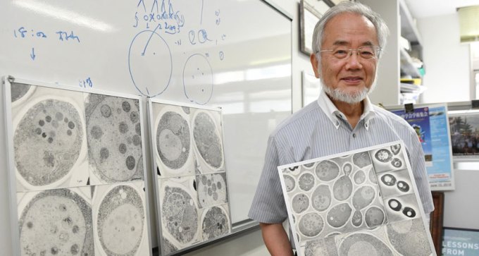 Yoshinori Ohsumi