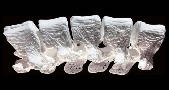 3-D printed bone scaffolds