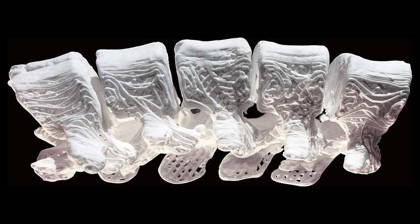 3-D printed bone scaffolds