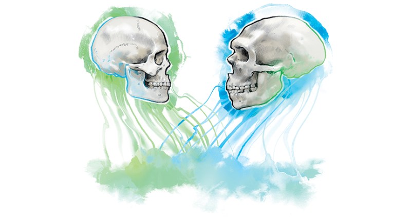 illustration of two skulls