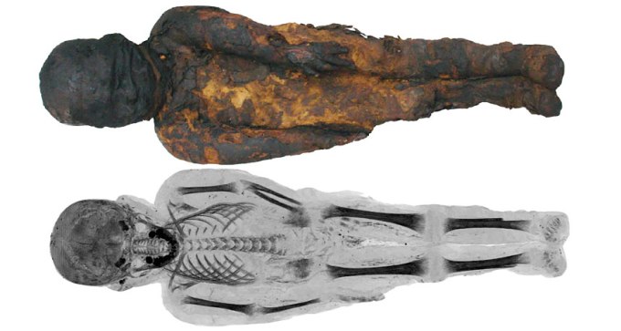 mummy image and CT scan
