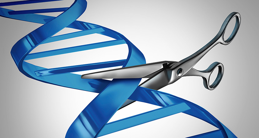 illustration of scissors cutting DNA